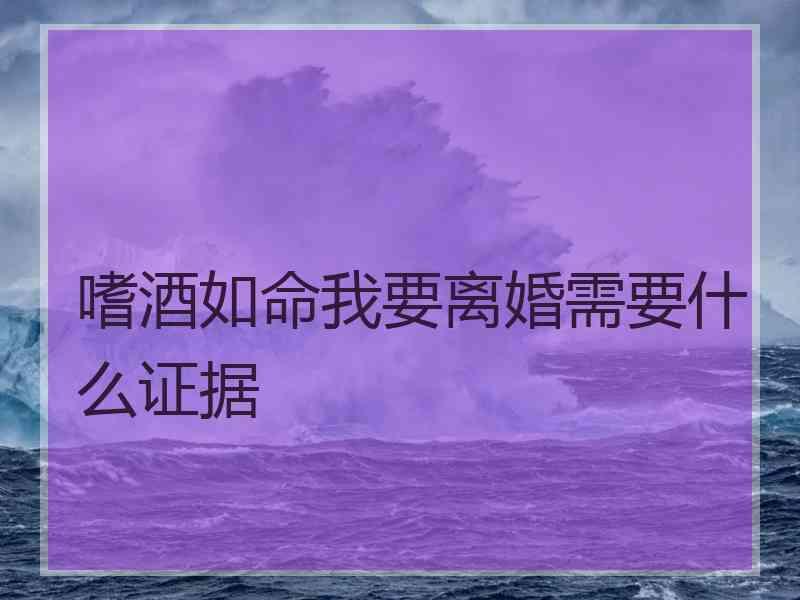 嗜酒如命我要离婚需要什么证据