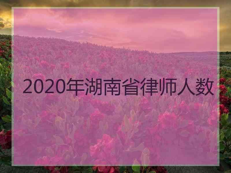 2020年湖南省律师人数