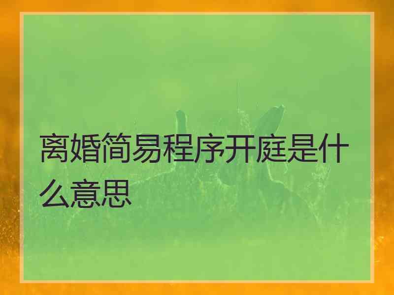 离婚简易程序开庭是什么意思