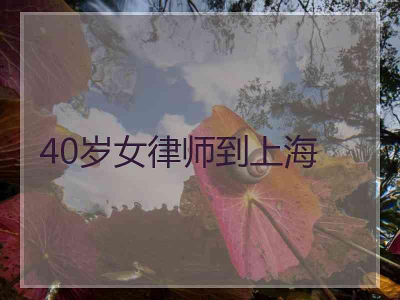 40岁女律师到上海