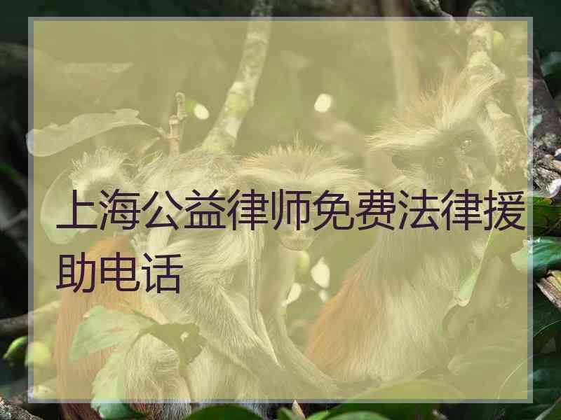 上海公益律师免费法律援助电话