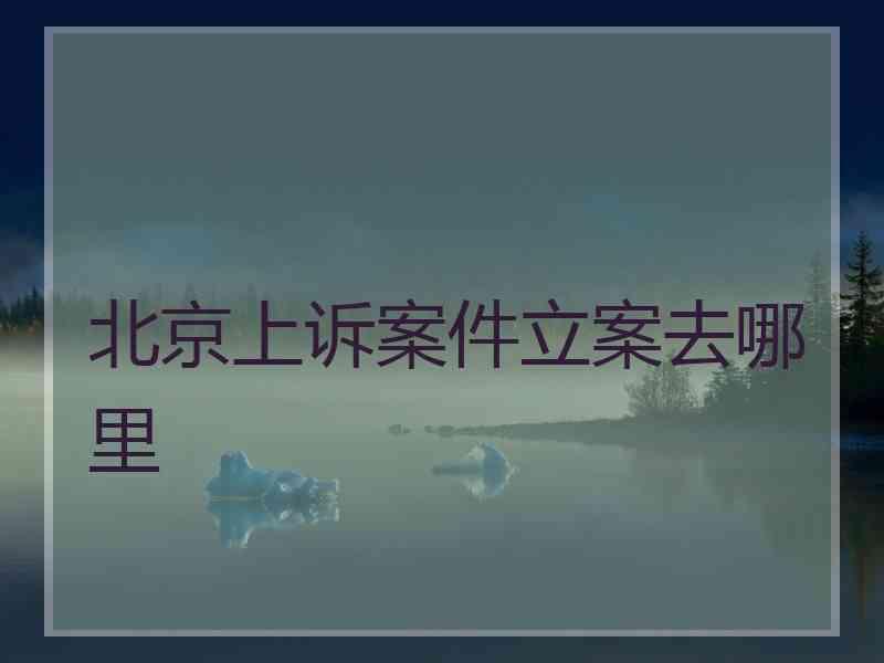 北京上诉案件立案去哪里