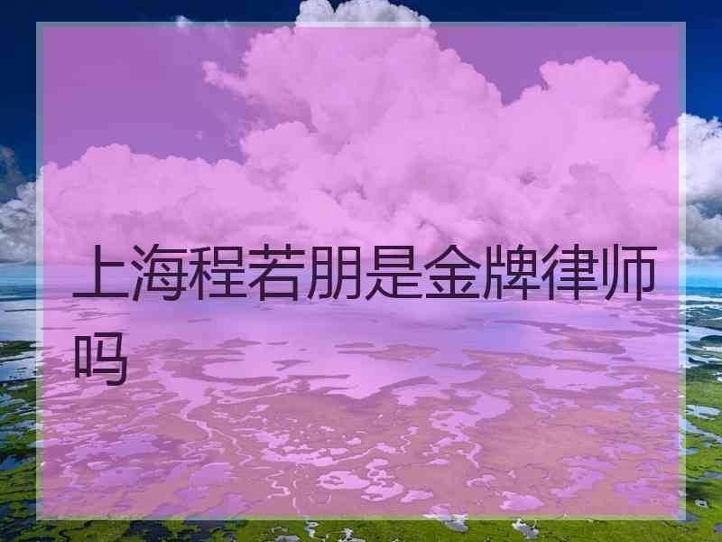 上海程若朋是金牌律师吗