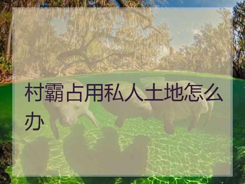 村霸占用私人土地怎么办