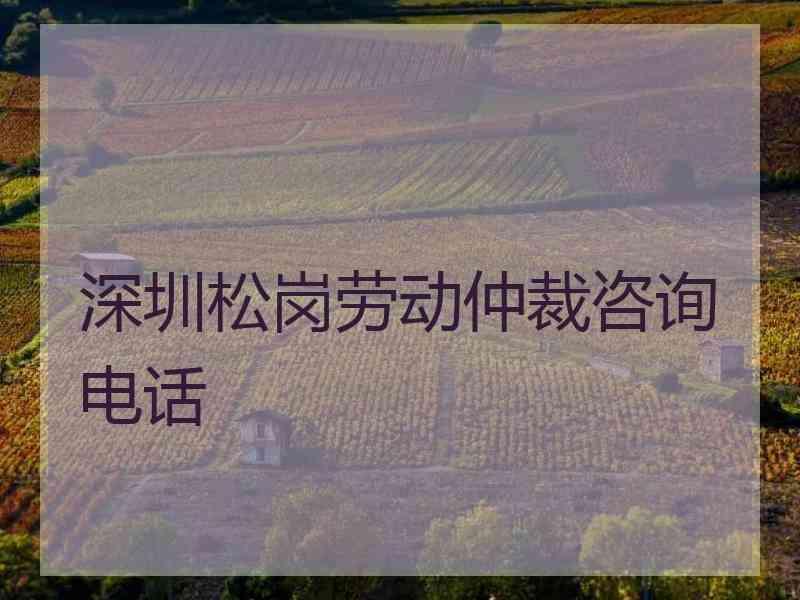 深圳松岗劳动仲裁咨询电话
