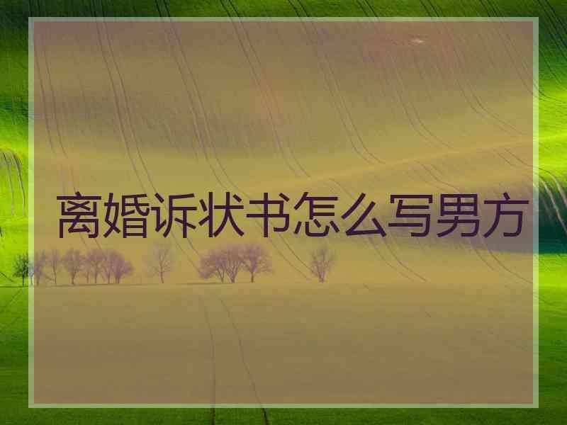 离婚诉状书怎么写男方