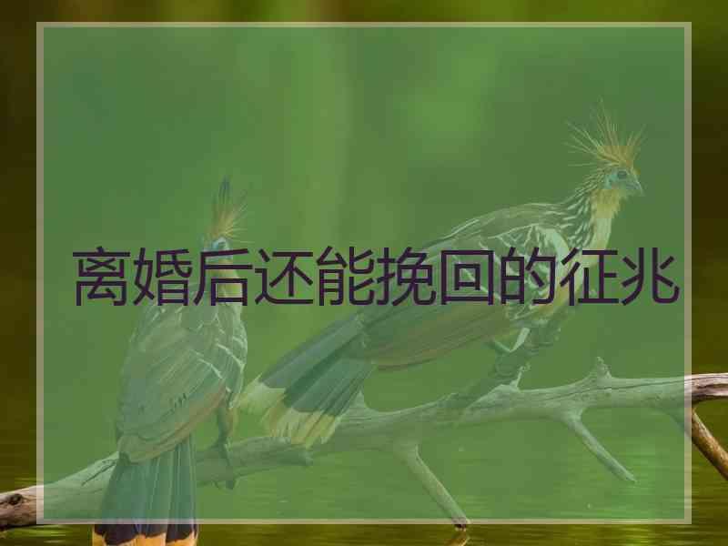 离婚后还能挽回的征兆