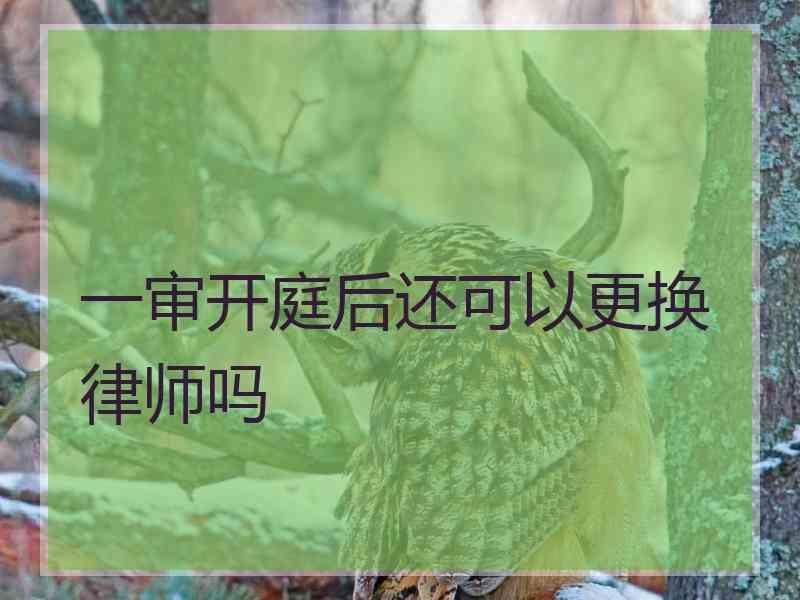 一审开庭后还可以更换律师吗