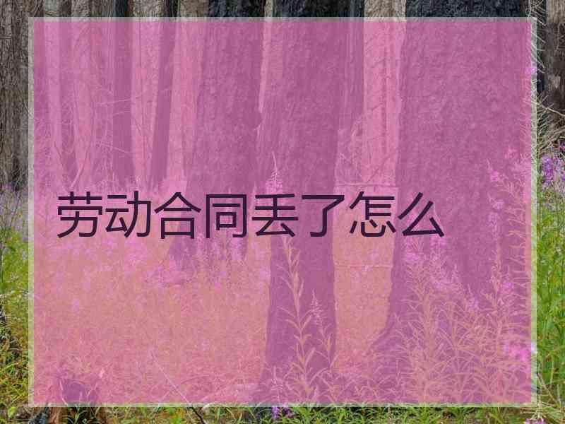 劳动合同丢了怎么