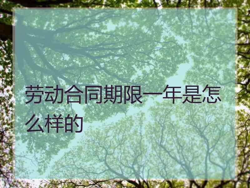 劳动合同期限一年是怎么样的