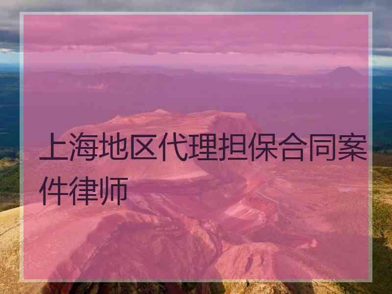 上海地区代理担保合同案件律师