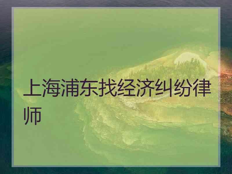 上海浦东找经济纠纷律师