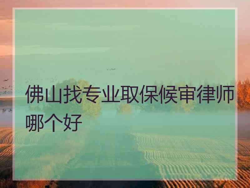 佛山找专业取保候审律师哪个好