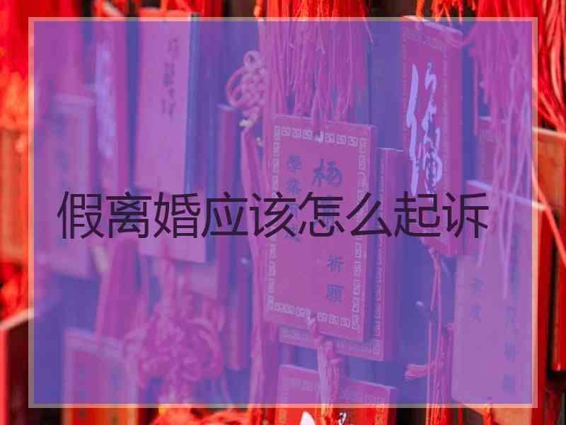 假离婚应该怎么起诉