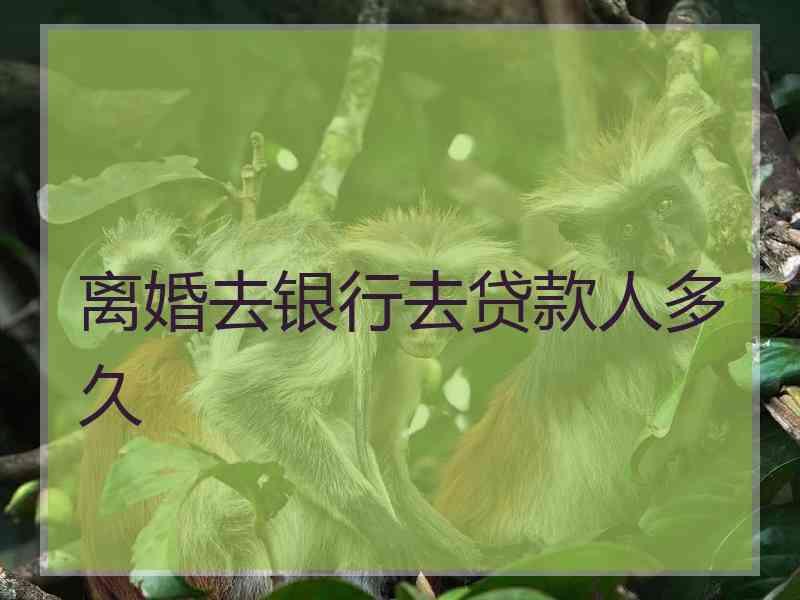 离婚去银行去贷款人多久