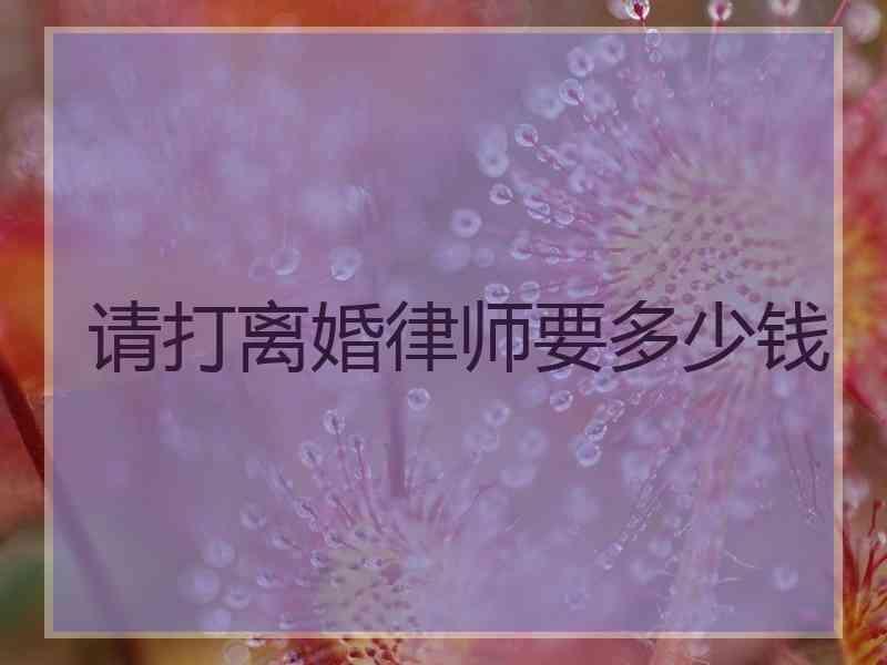 请打离婚律师要多少钱