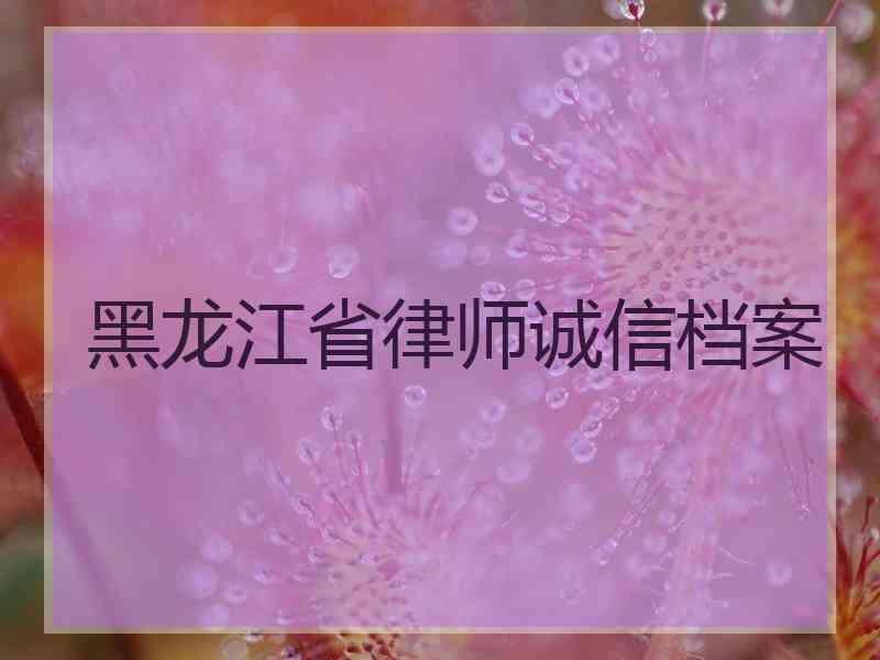 黑龙江省律师诚信档案