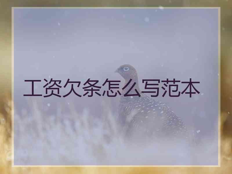 工资欠条怎么写范本