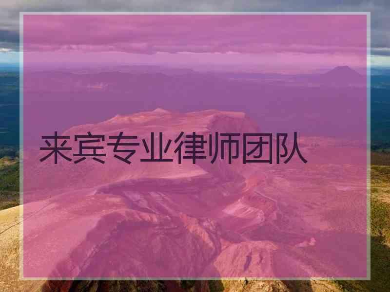 来宾专业律师团队