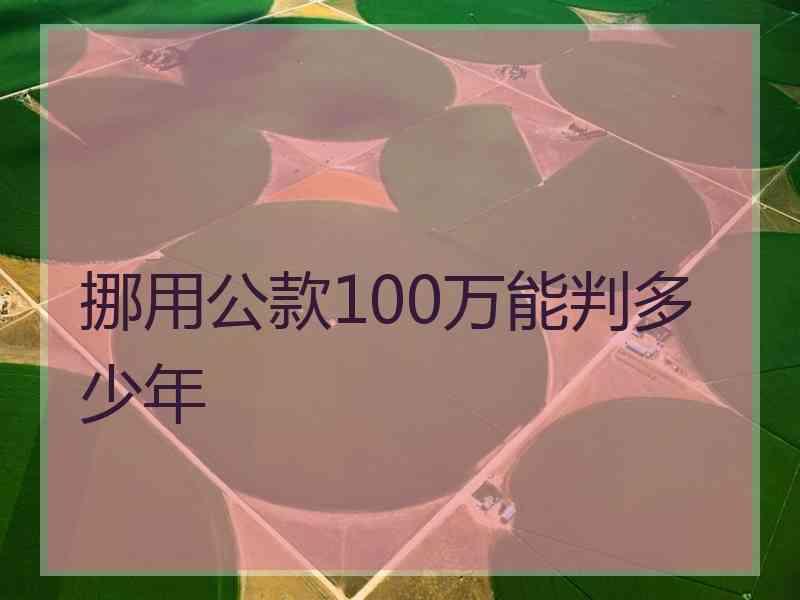 挪用公款100万能判多少年