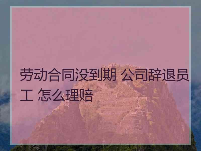 劳动合同没到期 公司辞退员工 怎么理赔