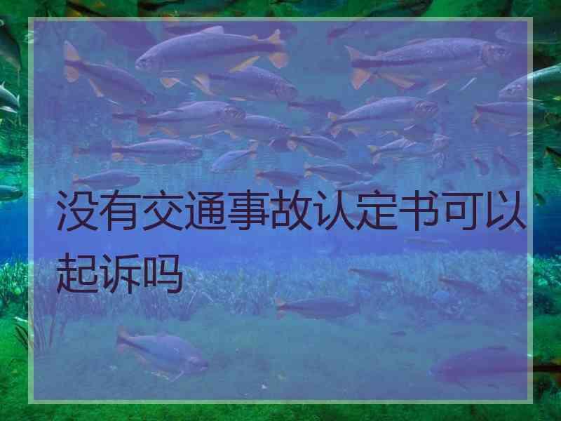 没有交通事故认定书可以起诉吗