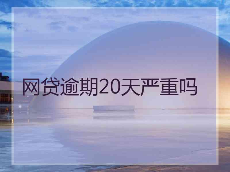 网贷逾期20天严重吗