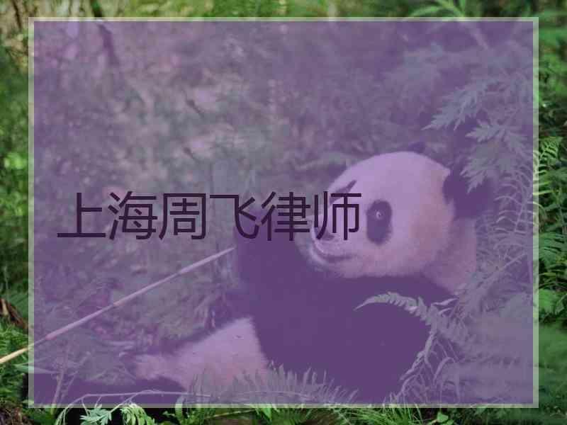 上海周飞律师