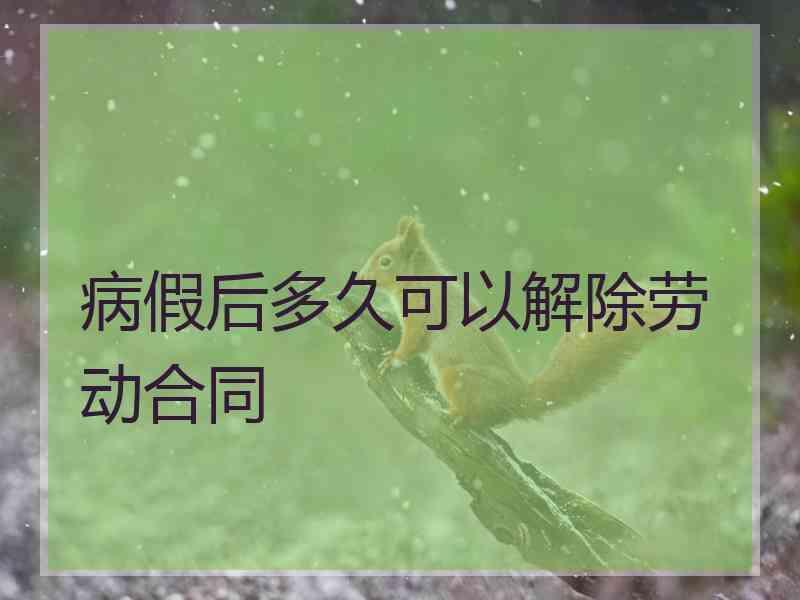 病假后多久可以解除劳动合同