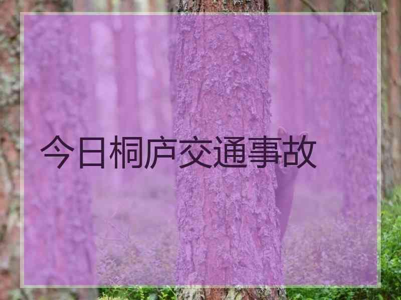 今日桐庐交通事故