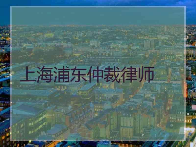 上海浦东仲裁律师