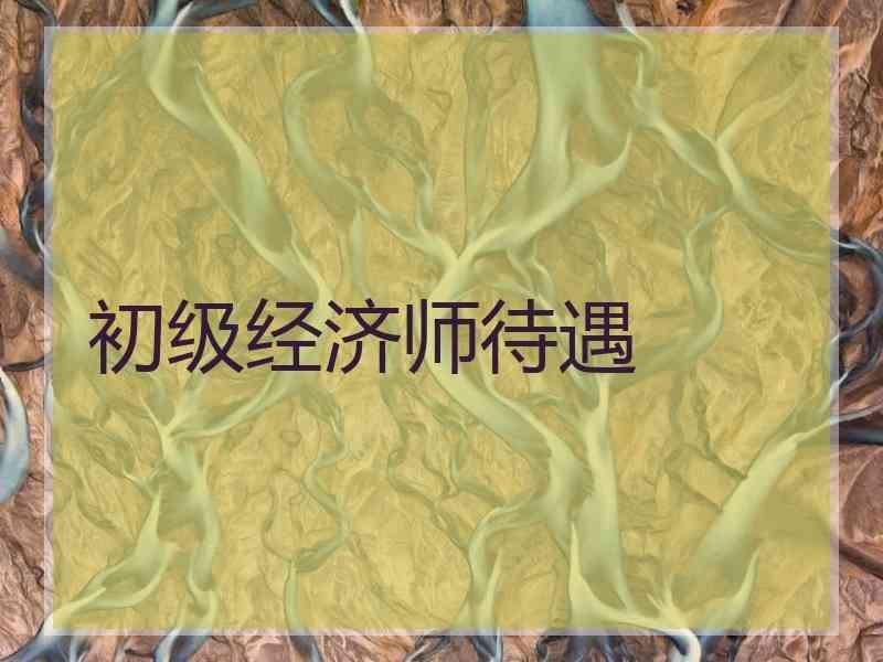 初级经济师待遇