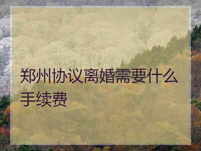郑州协议离婚需要什么手续费