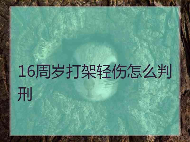 16周岁打架轻伤怎么判刑