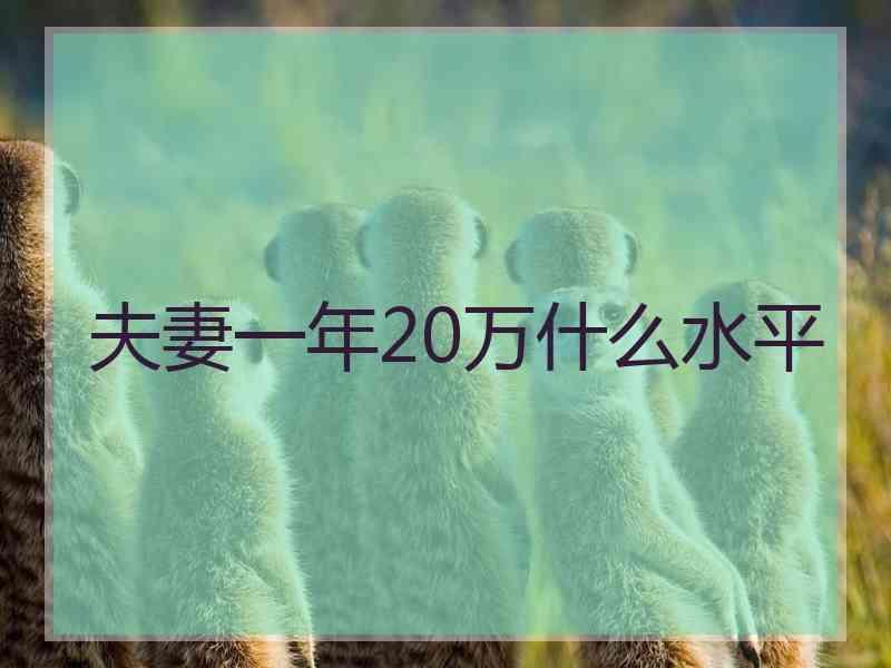 夫妻一年20万什么水平