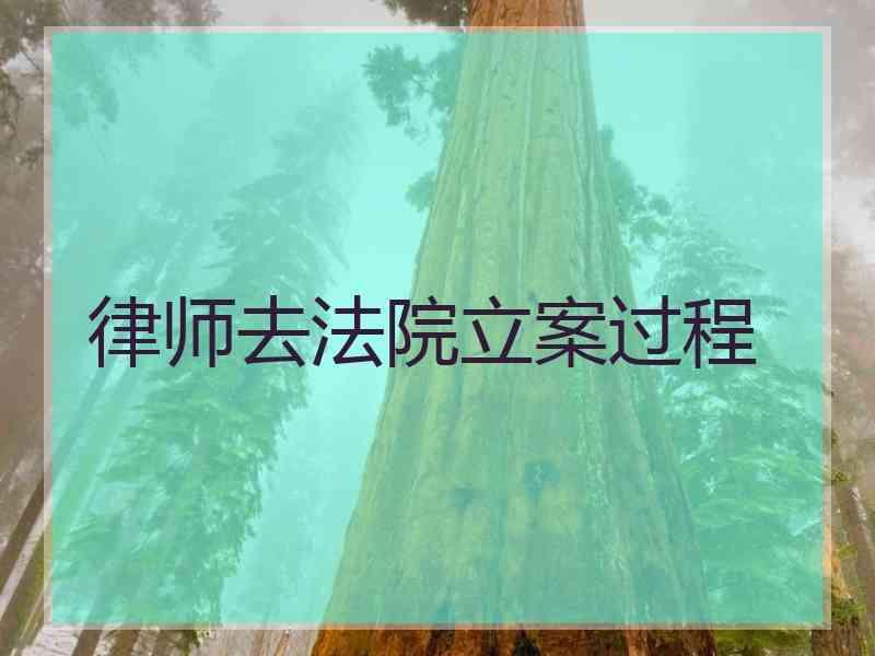律师去法院立案过程