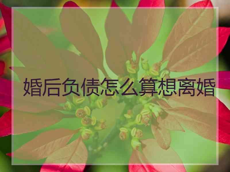 婚后负债怎么算想离婚