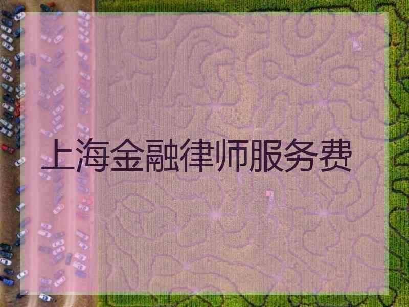 上海金融律师服务费