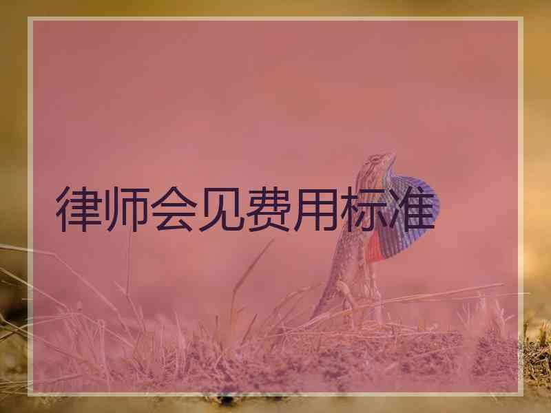 律师会见费用标准