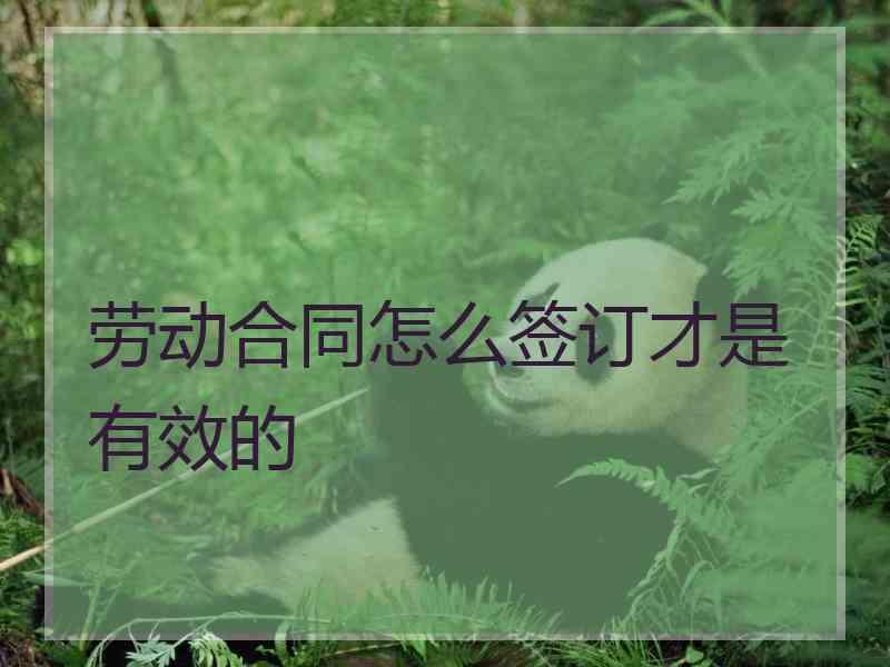 劳动合同怎么签订才是有效的