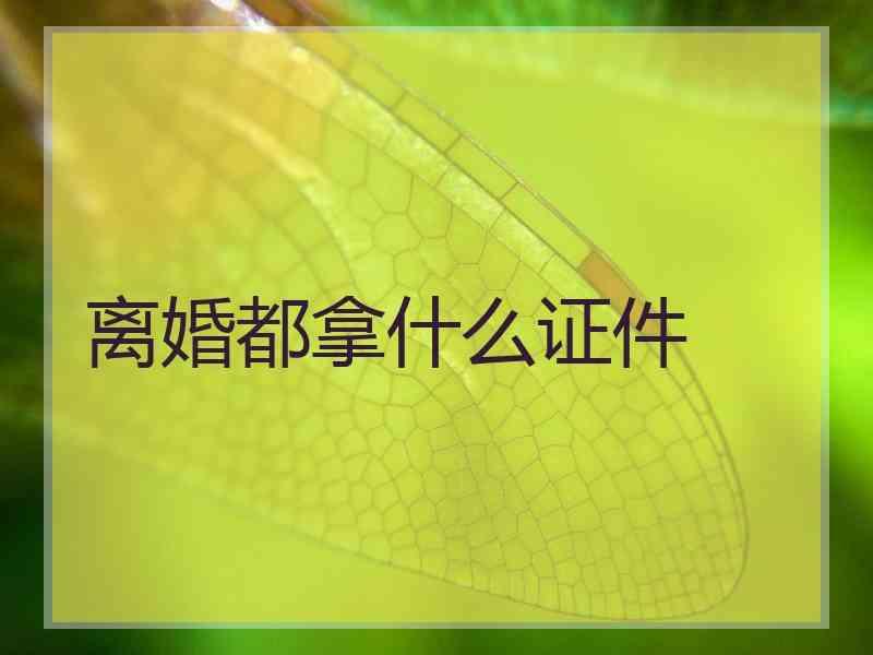 离婚都拿什么证件