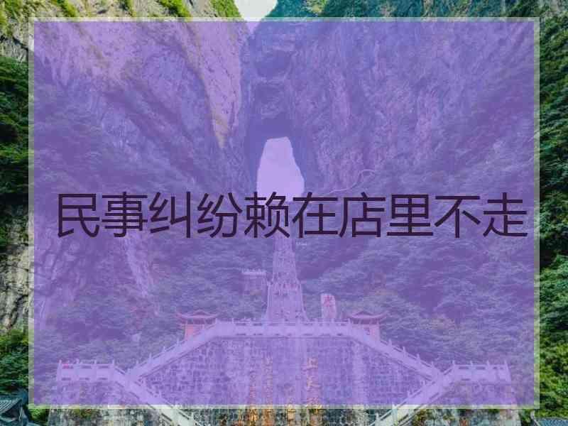 民事纠纷赖在店里不走