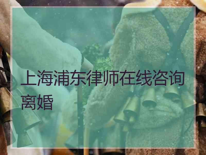 上海浦东律师在线咨询离婚