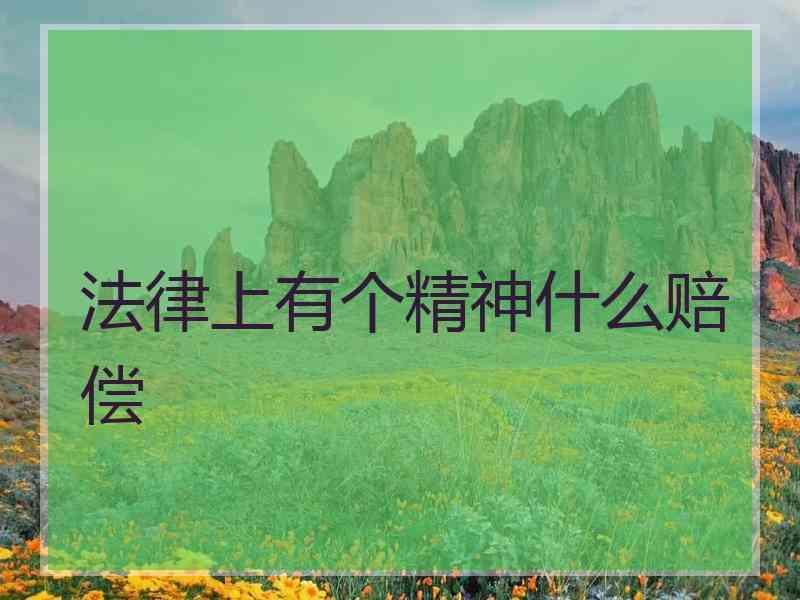 法律上有个精神什么赔偿