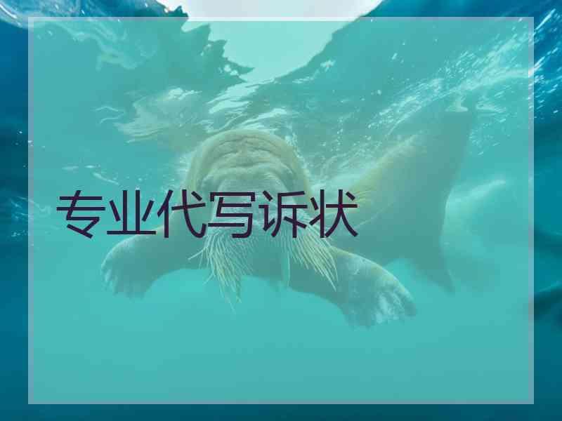 专业代写诉状