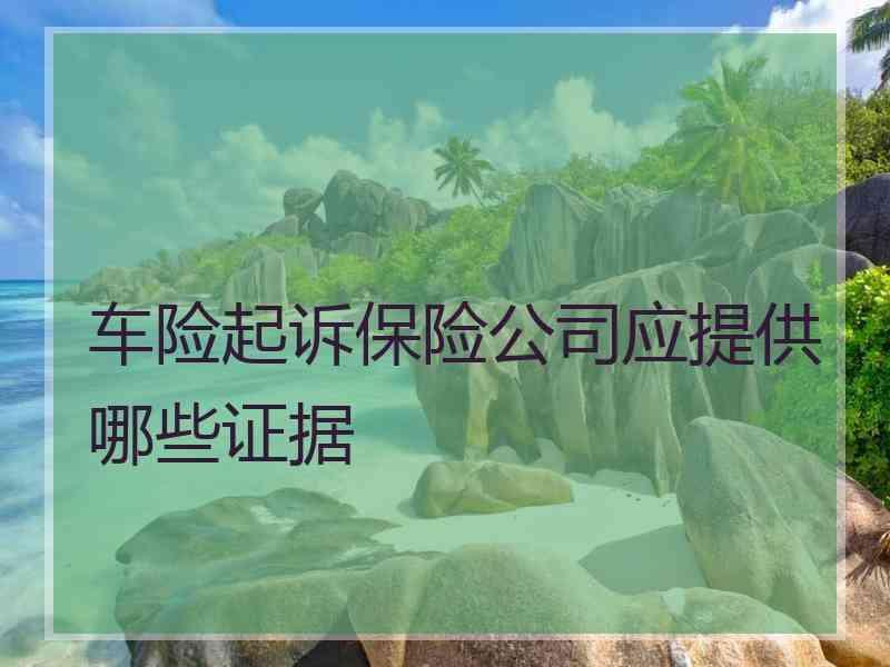 车险起诉保险公司应提供哪些证据