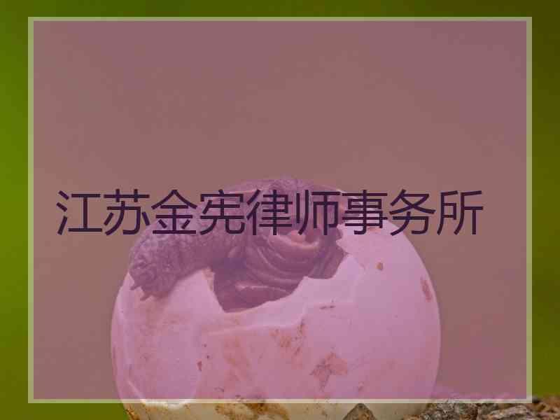 江苏金宪律师事务所