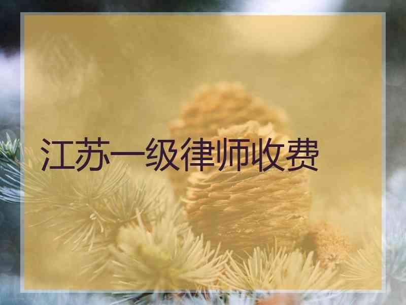 江苏一级律师收费