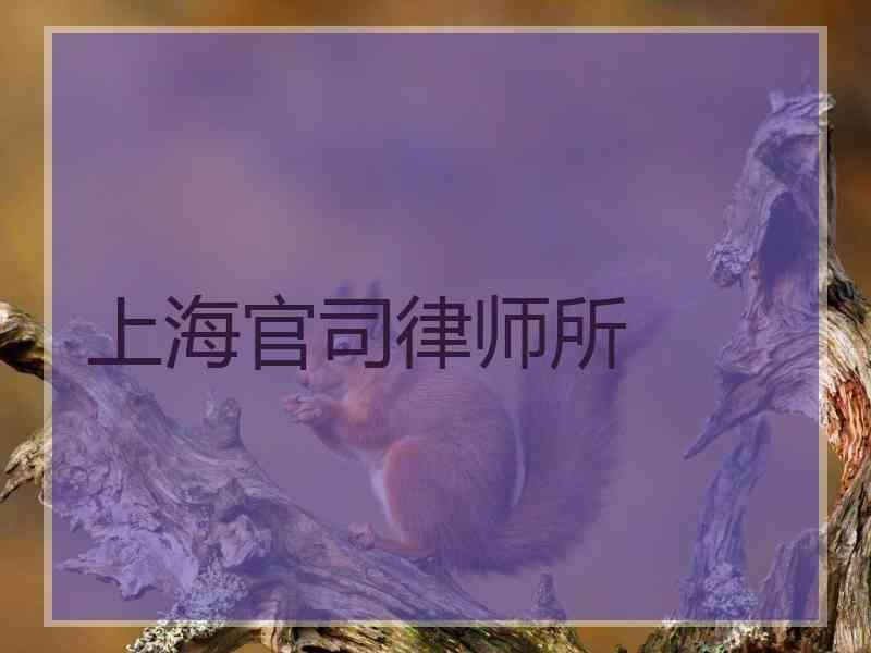 上海官司律师所