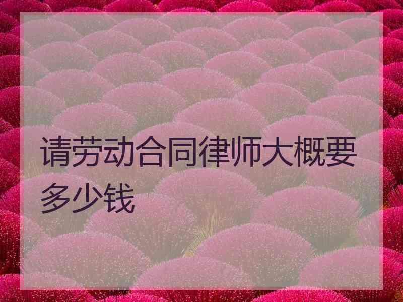 请劳动合同律师大概要多少钱